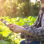 Tokenization in agribusiness: discover the benefits!